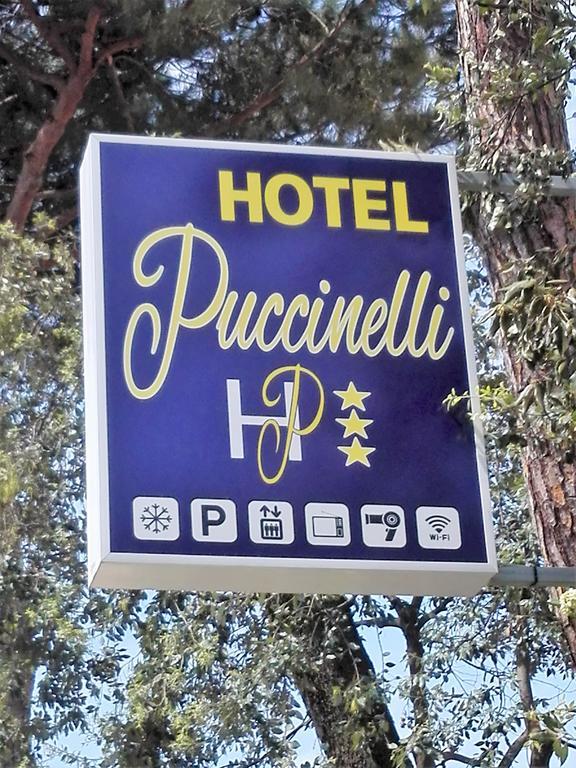 Hotel Puccinelli Lido di Camaiore Ngoại thất bức ảnh